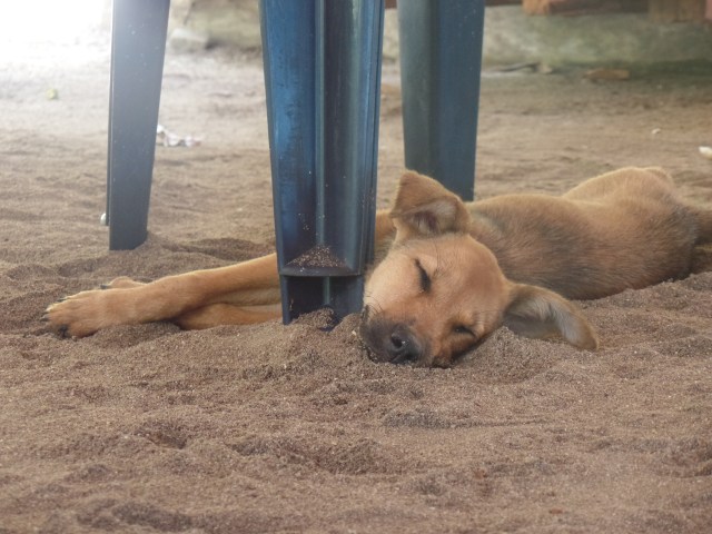 SAMSUNG CAMERA PICTURES